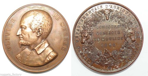 Médaille cuivre olivier - médaille,