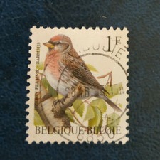 Belgique - 1992 Birds 1992 Sizerin flammé - oblitéré