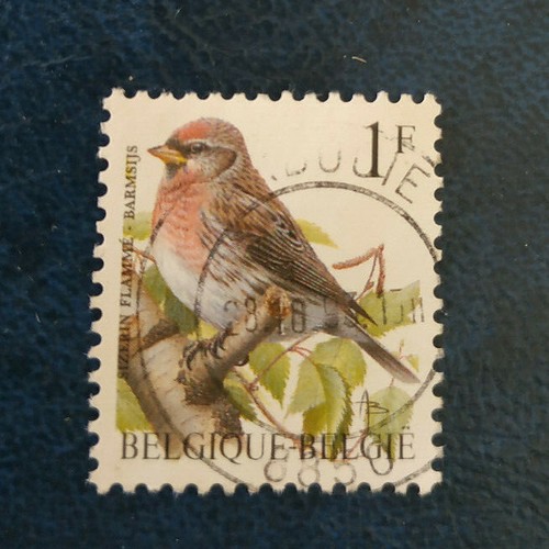 Belgique 1992 birds - belgique,