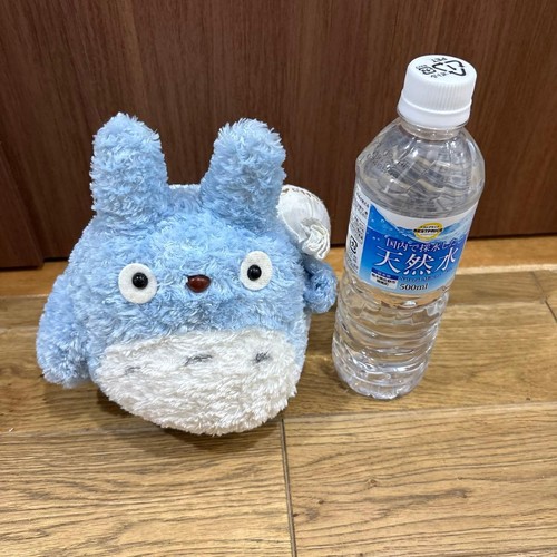 Neighbor totoro peluche - my,