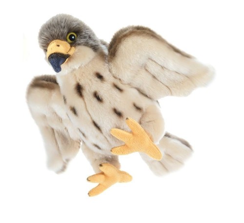 Peluche faucon pèlerin plush - pèlerin,