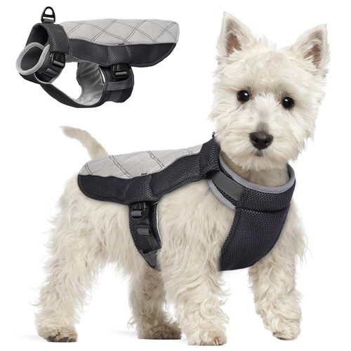 Gilet rafraichissant chien - gilet,