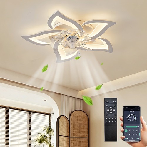 Plafond lampe avec ventilateur - plafond,