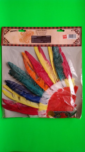 Coiffe indien plumes - d'indien,