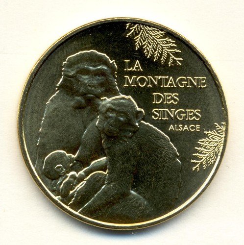 Kintzheim montagne des - montagne,