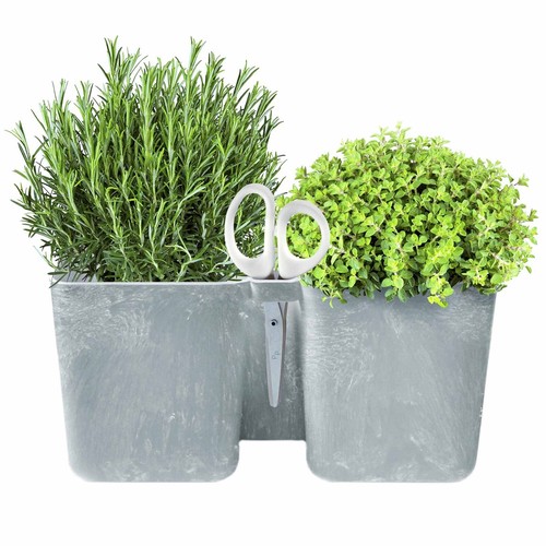 Pot herbes fleurs - pot,