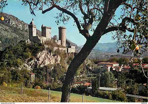 Carte postale foix - carte,