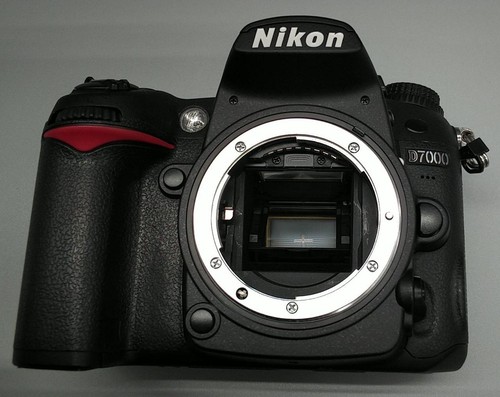 Nikon d7000 digital slr body - nikon,