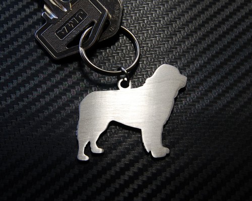 Terre neuve chien race - neuve,