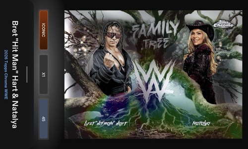 Bret hit man hart natalya - &,