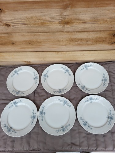 Lot assiettes plates - 6,