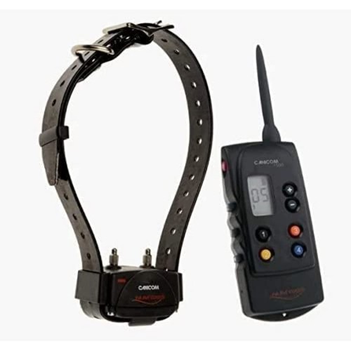 Ensemble dressage distance - ensemble,