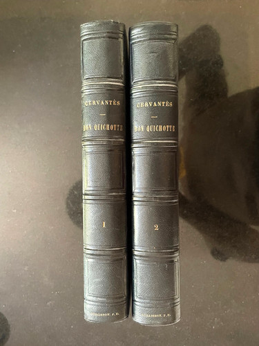 Ingénieux hidalgo don - hidalgo,