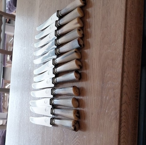 Lot couteaux table - lot, inox