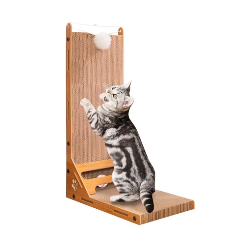 Griffoir chat forme - forme, l