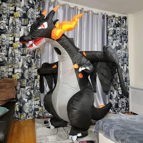 Pokemon costume dracaufeu - pokemon,