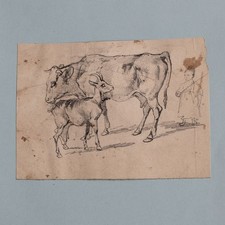 Joseph Simon Volmar Goat Cow Animal Study Unique Pencil Drawing Mid 19th Century