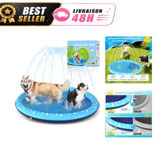 Nobleza piscine pour chiens - piscine,