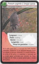 Super U Card - Bioviva! - Long Tail Pygmy Possum