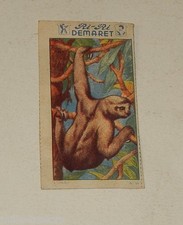 Image CHROMO RI-RI DEMARET 