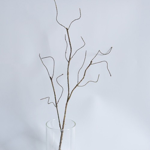 Fausse plante vigne - plante,