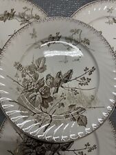23cm lot of 4x plate SARREGUEMINES model spring earthenware old bird 3