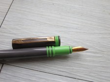 Stylo Plume Waterman Forum gris/vert grey/green pen FP