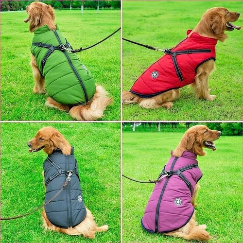 Veste pour chien - , manteau
