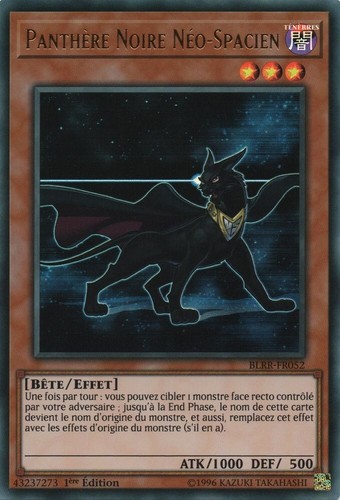 Carte blrr fr052 - carte, blrr-fr052