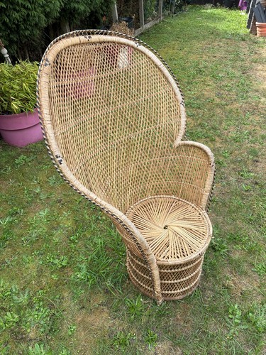 Fauteuil adulte paon rotin - adulte,