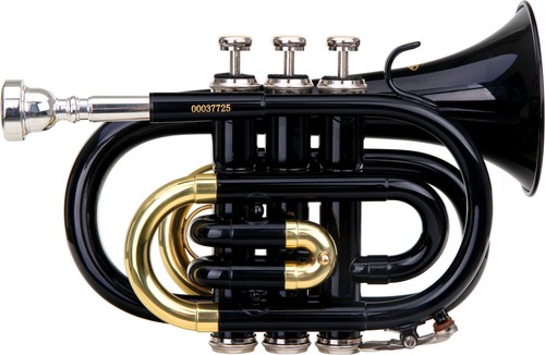 Trompette instrument vent - instrument,