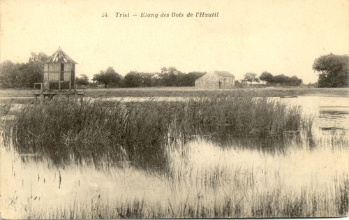 Triel étang des bois - 54,