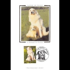 Carte Maximum v2 - N° 3285 -