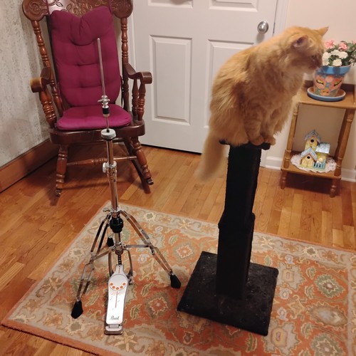 Pearl h830 hat stand - pearl,