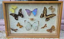 TRÈS BEAU TABLEAU VITRINE