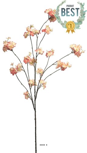 Branche cerisier - de,