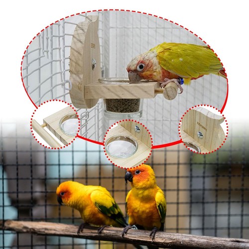 Mangeoire oiseaux pour - mangeoire,