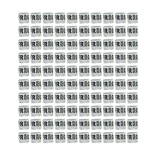 100 anneaux patte en - 100,