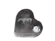 Américain Quarter Horse -