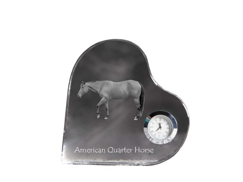 Américain quarter horse - américain,