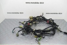 Faisceau électrique Honda PC