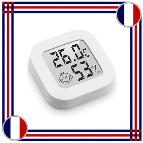 Mini thermomètre hygromètre - thermomètre,