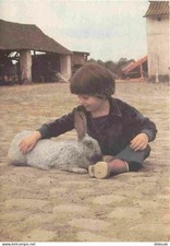 Children - Image - Scenes and Landscapes - Giant Rabbit - CPM - New Map - See Sc
