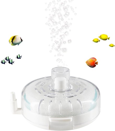 Aquarium small fish tank - fish,