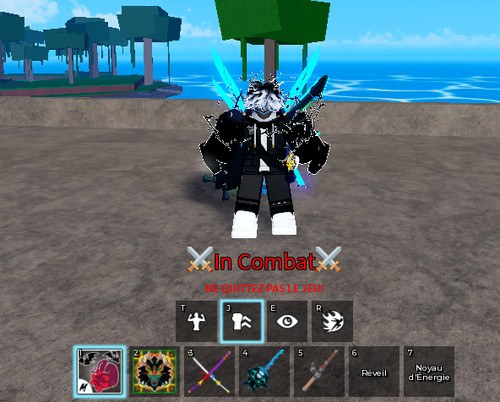 Compte roblox blox - compte, fruit