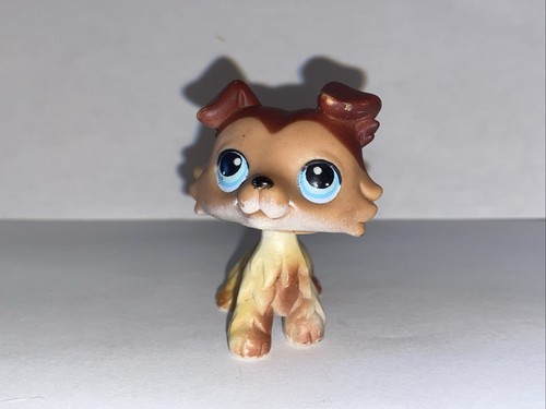 Petshop chien colley 58 - colley, #58