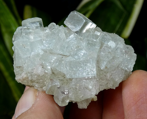 Fluorite inclore cubes - inclore,