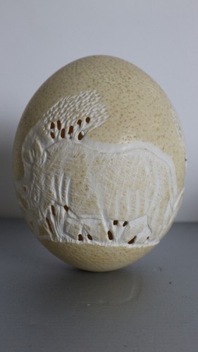 Ancien oeuf autruche - oeuf,
