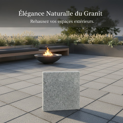 Dalle pavage granit - de,
