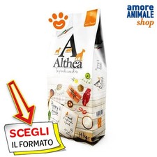 Dagel Althea Chien Moyen Grand